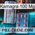 Kamagra100 Mg 36